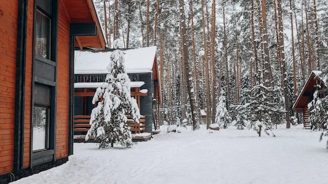 3-reasons-why-you-should-get-a-prelit-tree-this-christmas