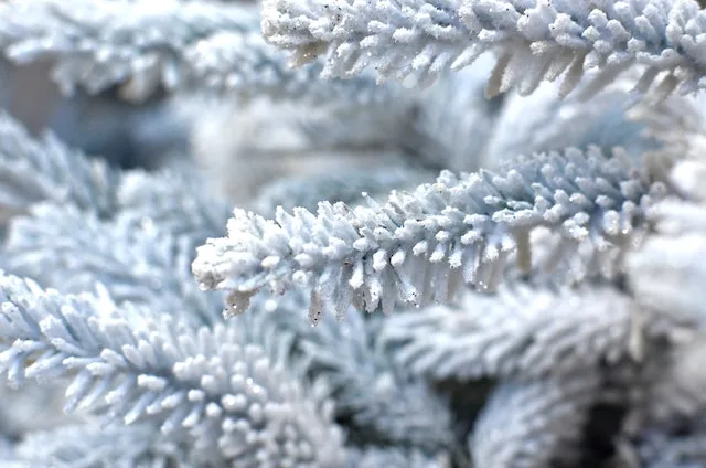 perfect-combination-of-tradition-and-style-artificial-slim-christmas-trees