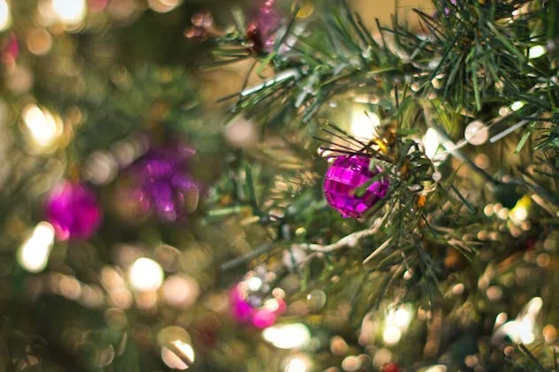 the-story-of-santas-magical-forest